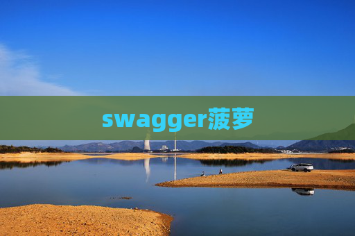 swagger菠萝